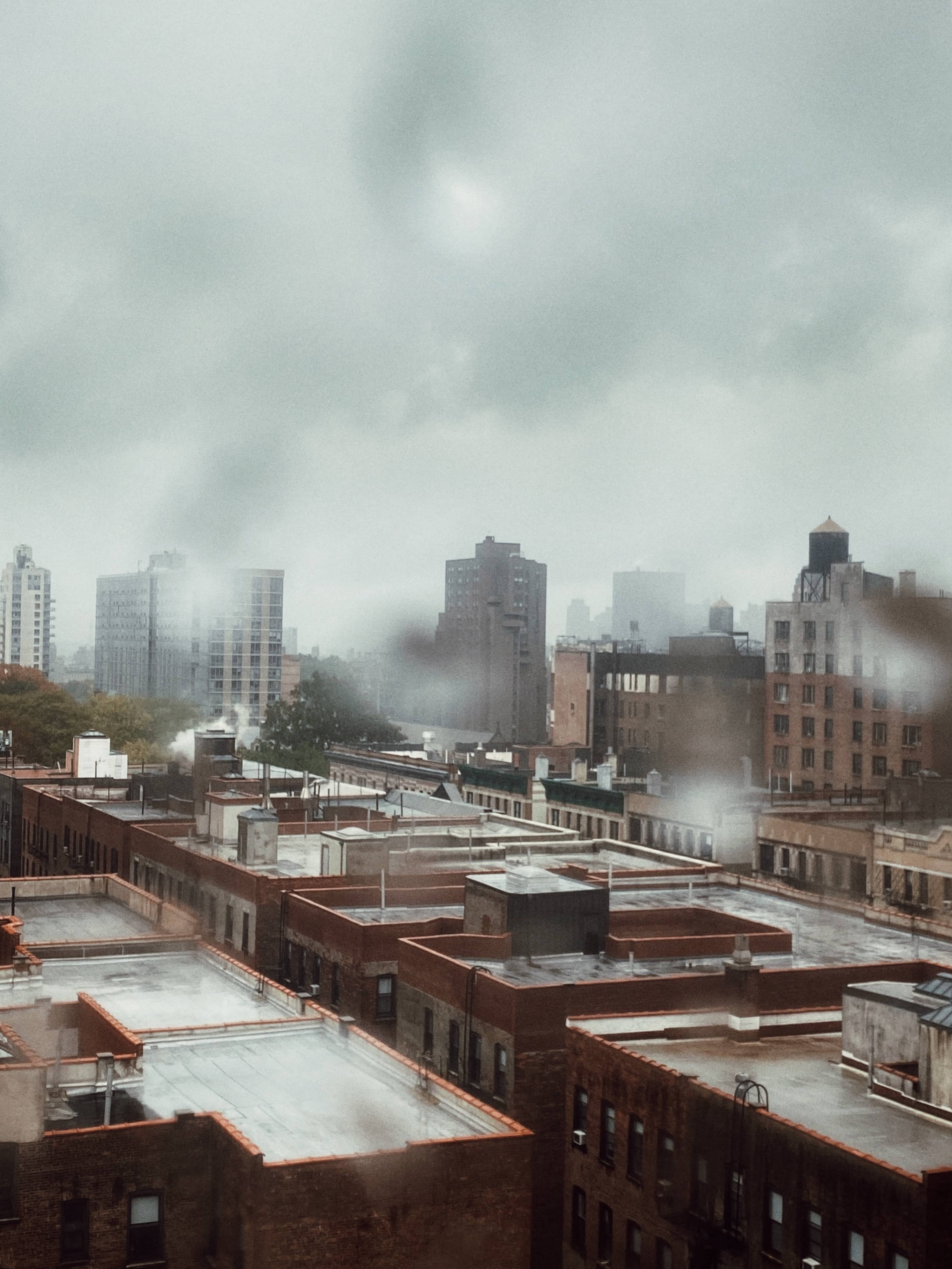 Le Rouge Originel — rain rooftops