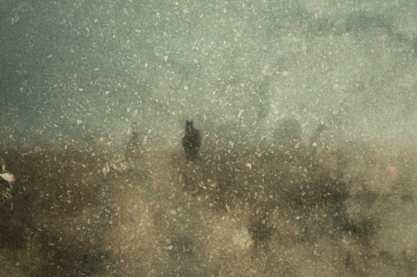 Upstate — dissolving horse